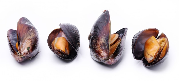 Delicious mussels on white