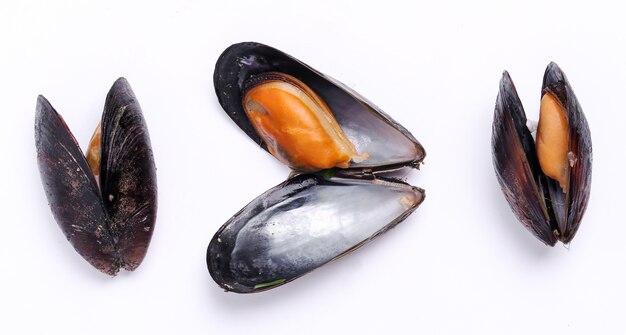 Delicious mussels on white