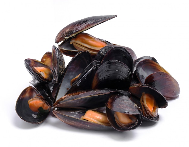Delicious mussels on white