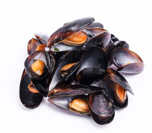 Delicious mussels on white