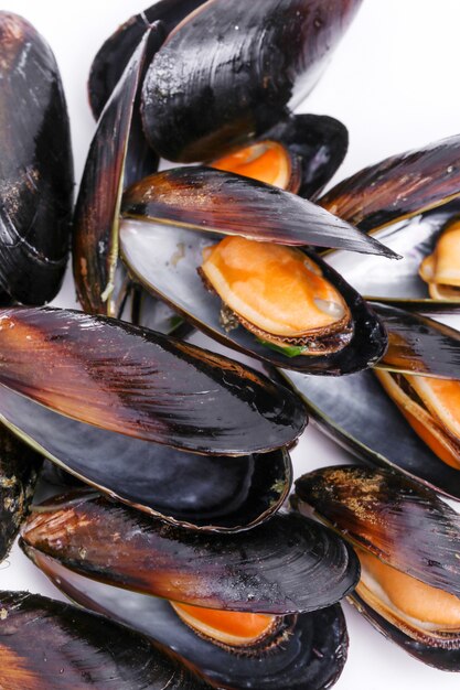 Delicious mussels on white