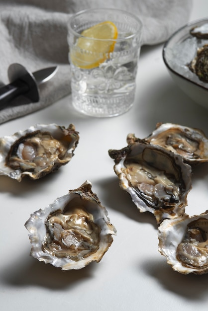 Delicious  oysters ready to eat still life