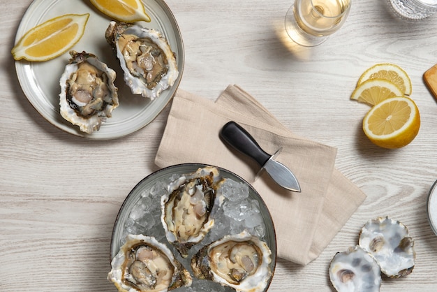 Delicious  oysters ready to eat still life