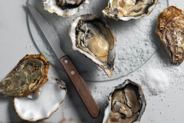 Free photo delicious  oysters ready to eat still life