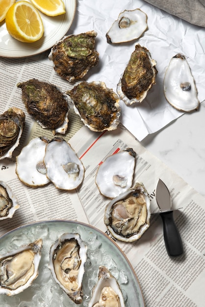 Delicious  oysters ready to eat still life