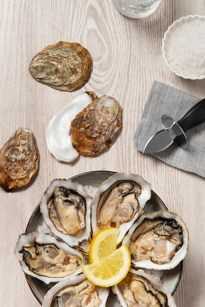 Delicious  oysters ready to eat still life