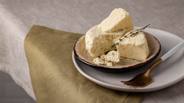 Delicious paneer cheese arrangement