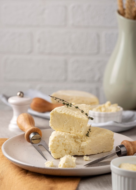 Foto gratuita deliziosa composizione di formaggio paneer