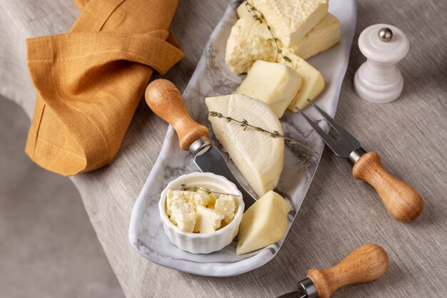 Delicious paneer cheese arrangement