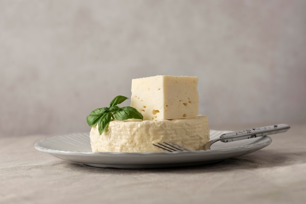 Free photo delicious paneer cheese composition
