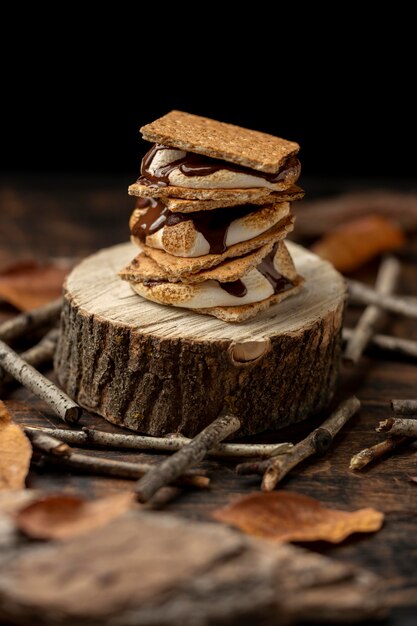 Delicious s'mores dessert assortment