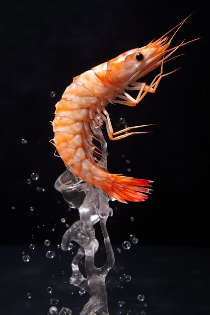 Delicious shrimp indoors