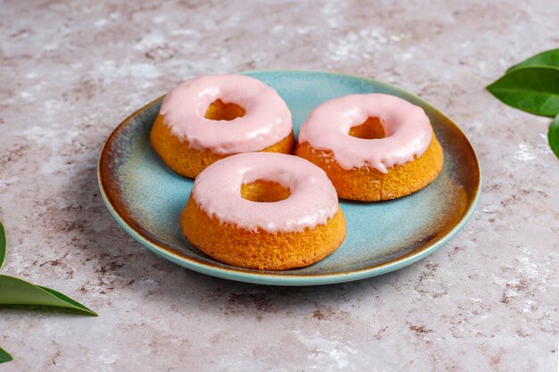 Delicious simple donuts,top view