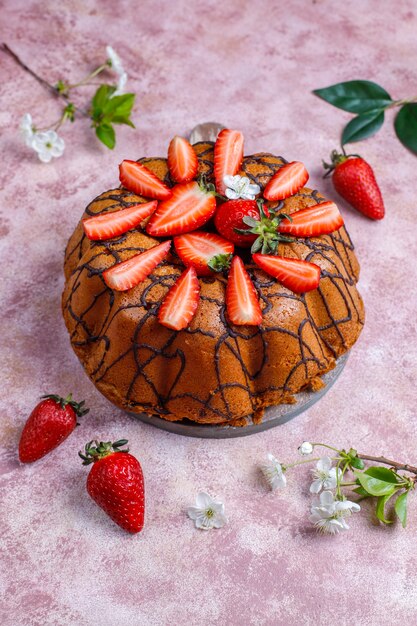 신선한 딸기, 평면도와 맛있는 딸기 초콜릿 케이크