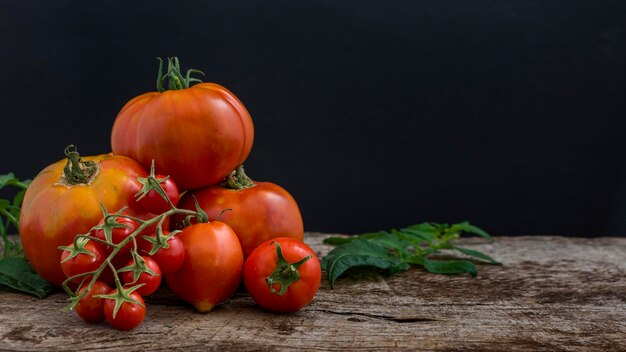 Delicious tomatoes arrangement