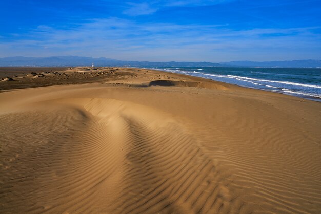 Qué hacer en el delta del ebro