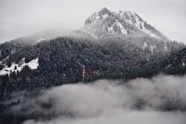 Густо заросшая лесом гора с заснеженными елями в окружении облаков в Альпах