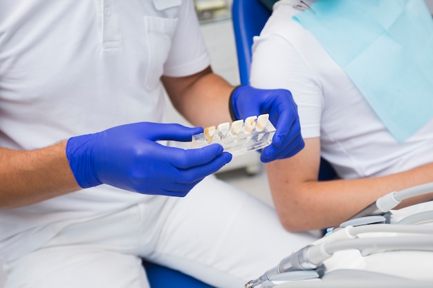 Foto gratuita dentista che tiene varietà di denti