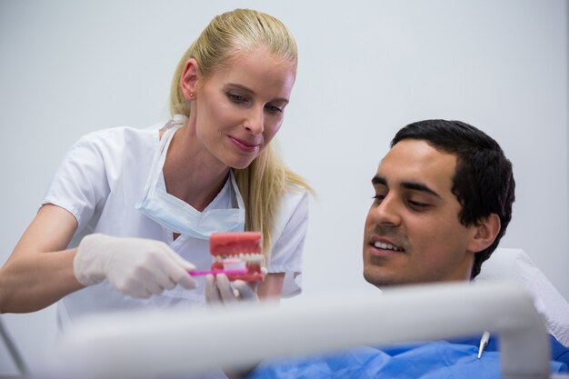 Dentist showing set of model teeth to the patient