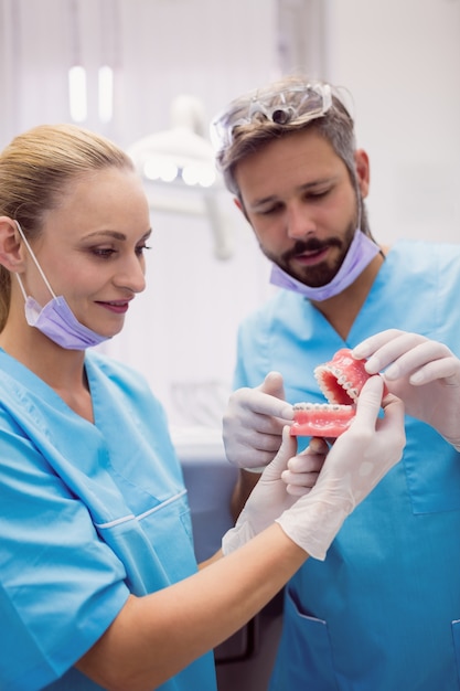 Dentists having discussion on teeth model