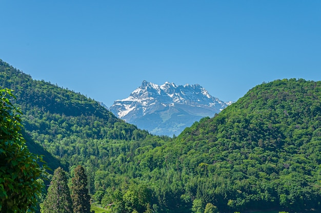 스위스의 여러 정상이있는 Dents du Midi 산