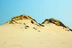 Free photo desert dunes