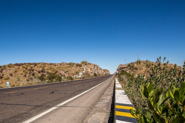 A desert highway surrounded by hills with exotic plants