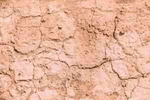 Free photo desert landscape in morocco