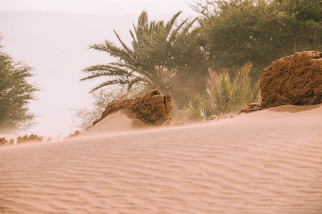 モロッコの砂漠の風景