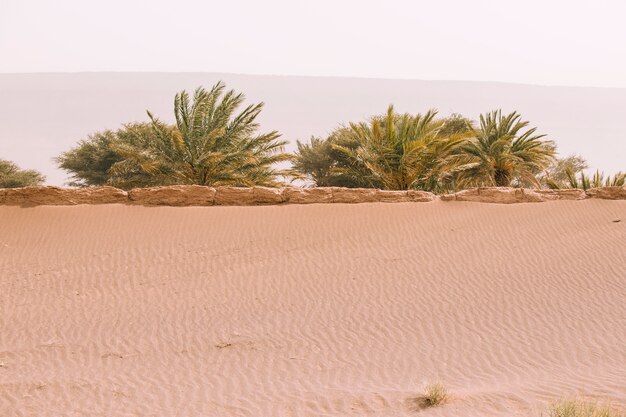 사막 풍경, 모로코