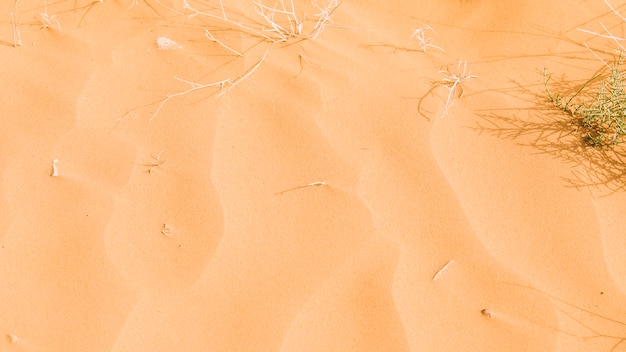 Desert landscape in morocco