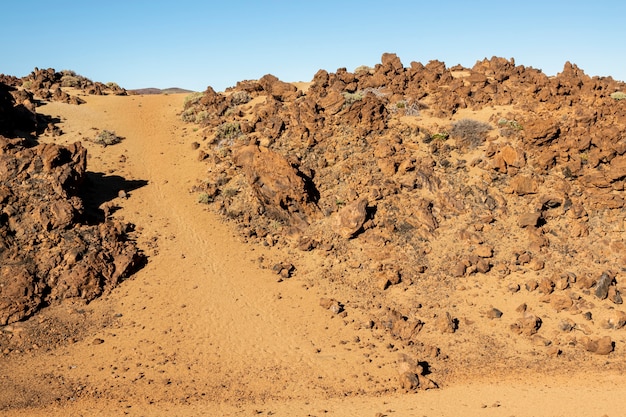 Free photo desert landscape with clear sky