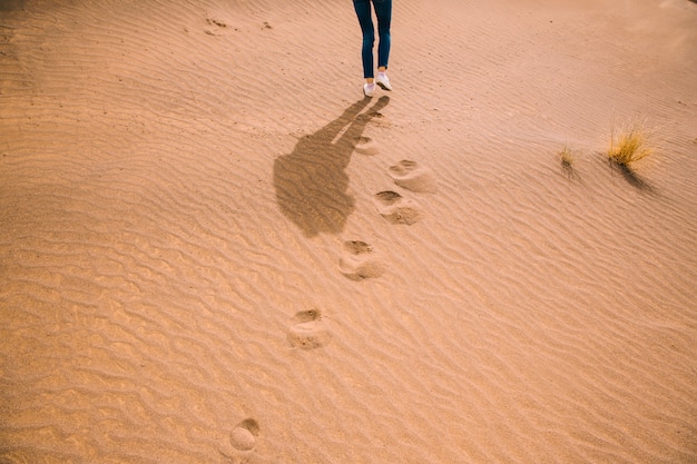 Desert landscape