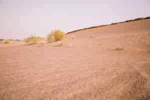 Free photo desert landscape