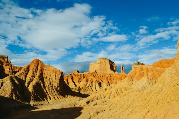 Desert in the nature