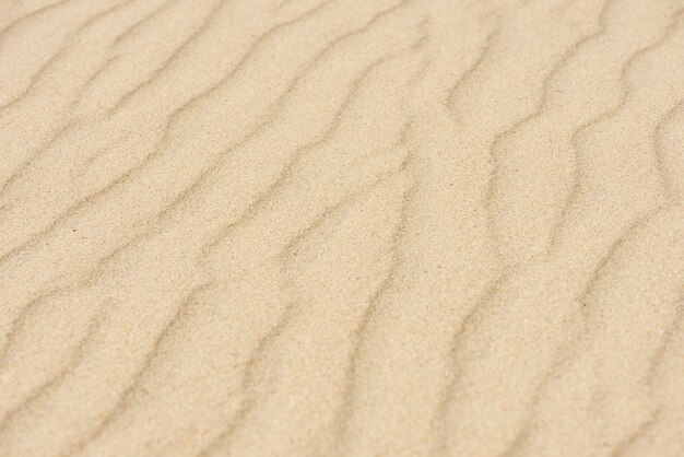 Текстура песчаных дюн пустыни. волны на желтых песках пустыни. крупный план песчаного пляжа.