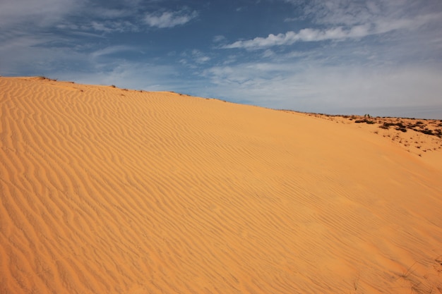 화창한 날에 사막