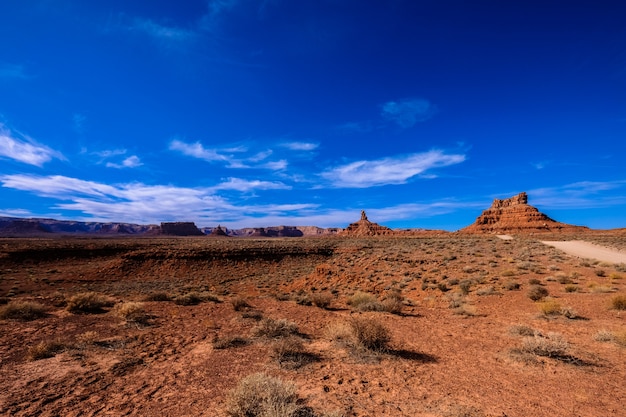 Desert with dried bushes near a dirt road with cliffs in the distance on a sunny day