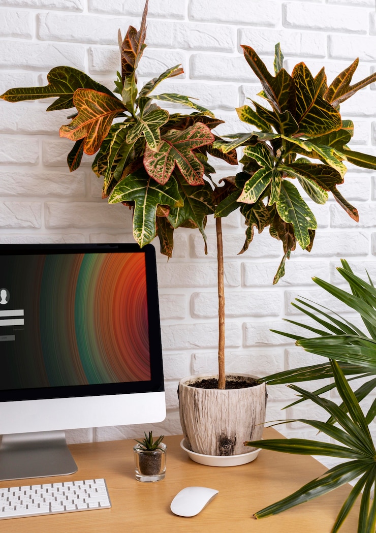 Free Photo desk arrangement with monitor and plant