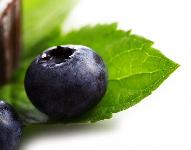 Dessert with blueberry and cottage cheese