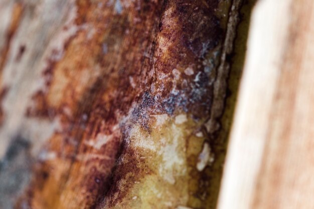 Detail of brown wooden trunk