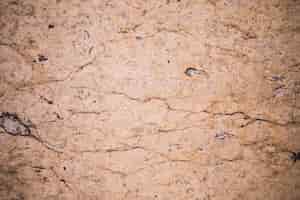 Бесплатное фото Деталь коричневой мраморной стены