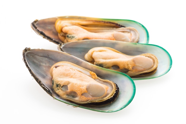 Free photo diet mussels tasty white group