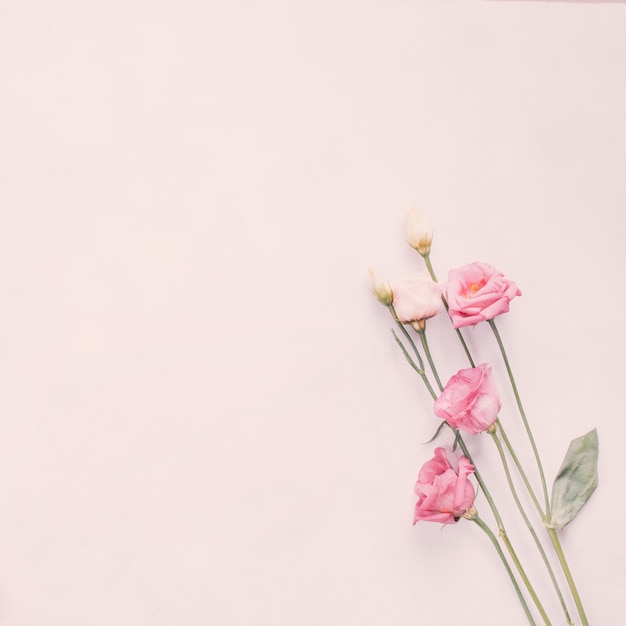 Free Photo | Different bright flower branches on table