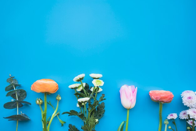 Different colorful flowers on stems