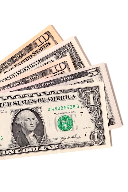 Free Photo different dollar notes
