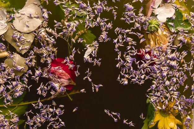 黒い水の中の別の花