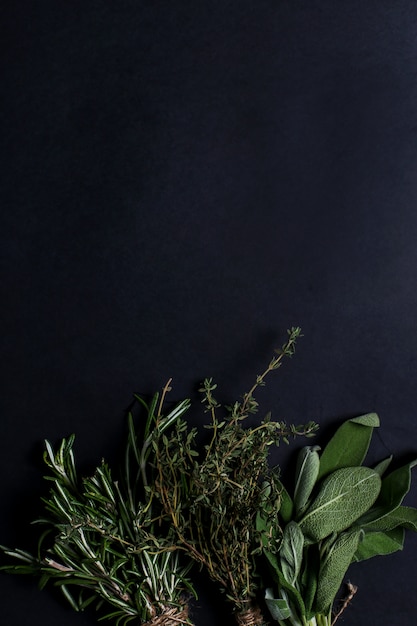 Different herbs in black table, top view