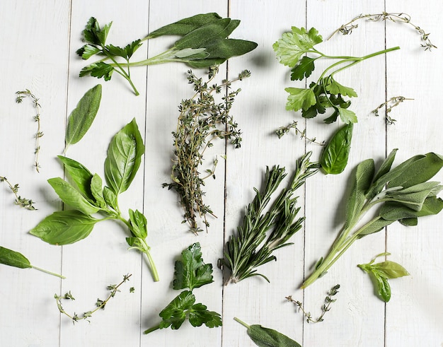 Different herbs in white wooden table, top view