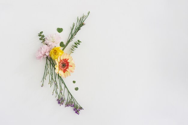 Different kind of flowers on white background